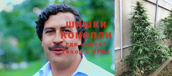 Альфа ПВП Аркадак