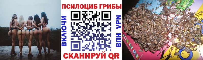 Галлюциногенные грибы GOLDEN TEACHER  купить  цена  Сосновоборск 